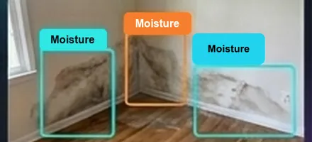 Proof Vision AI moisture damage detection scan